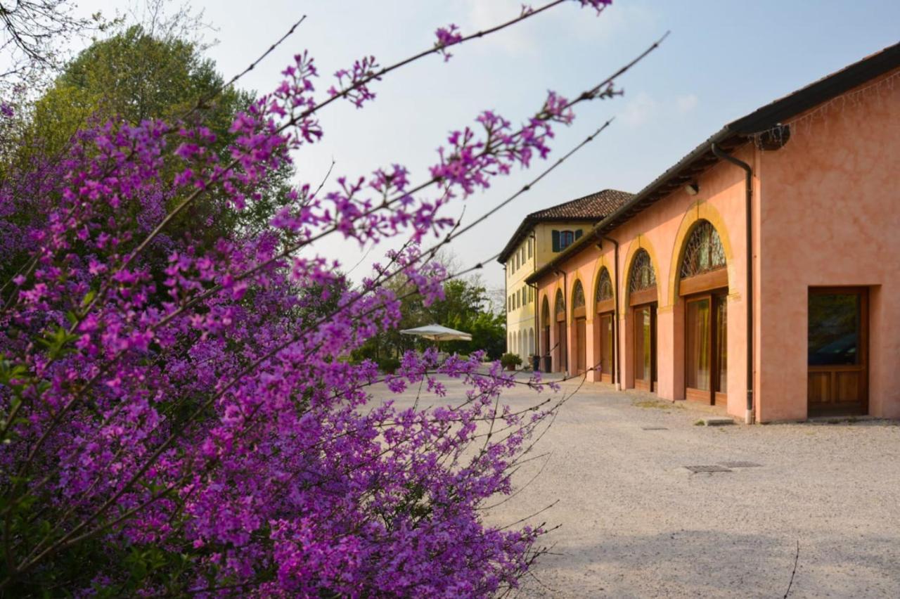 Agriturismo Rechsteiner Ponte di Piave ภายนอก รูปภาพ